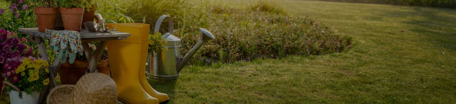 Que faire au jardin en juillet ?