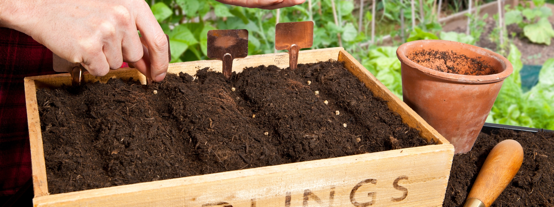 <i>Matériel de</i> SEMIS