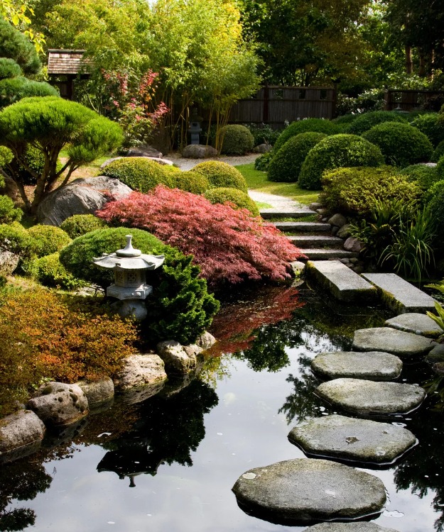 Jardin Japonais