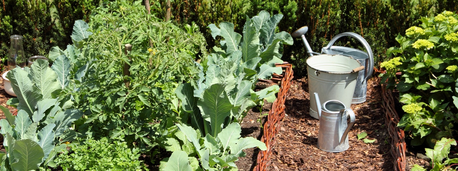 <i>Potager</i> DE A À Z