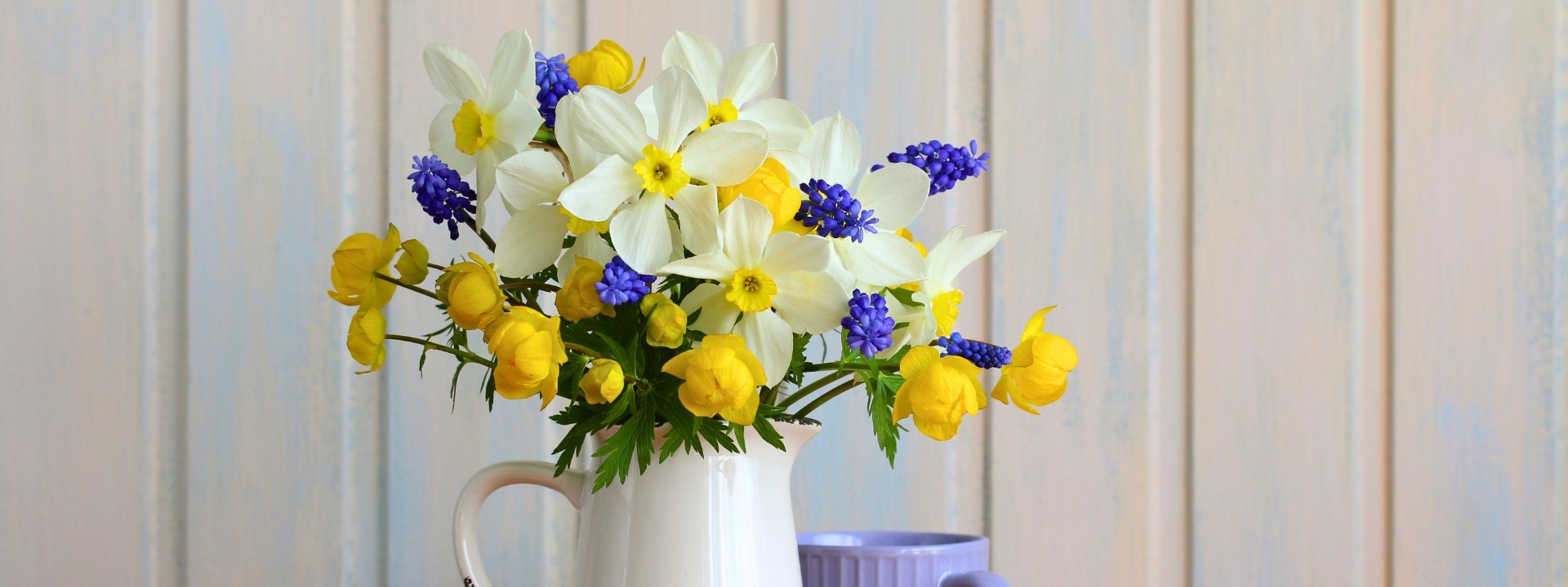 <i>Bulbes</i> DE PRINTEMPS