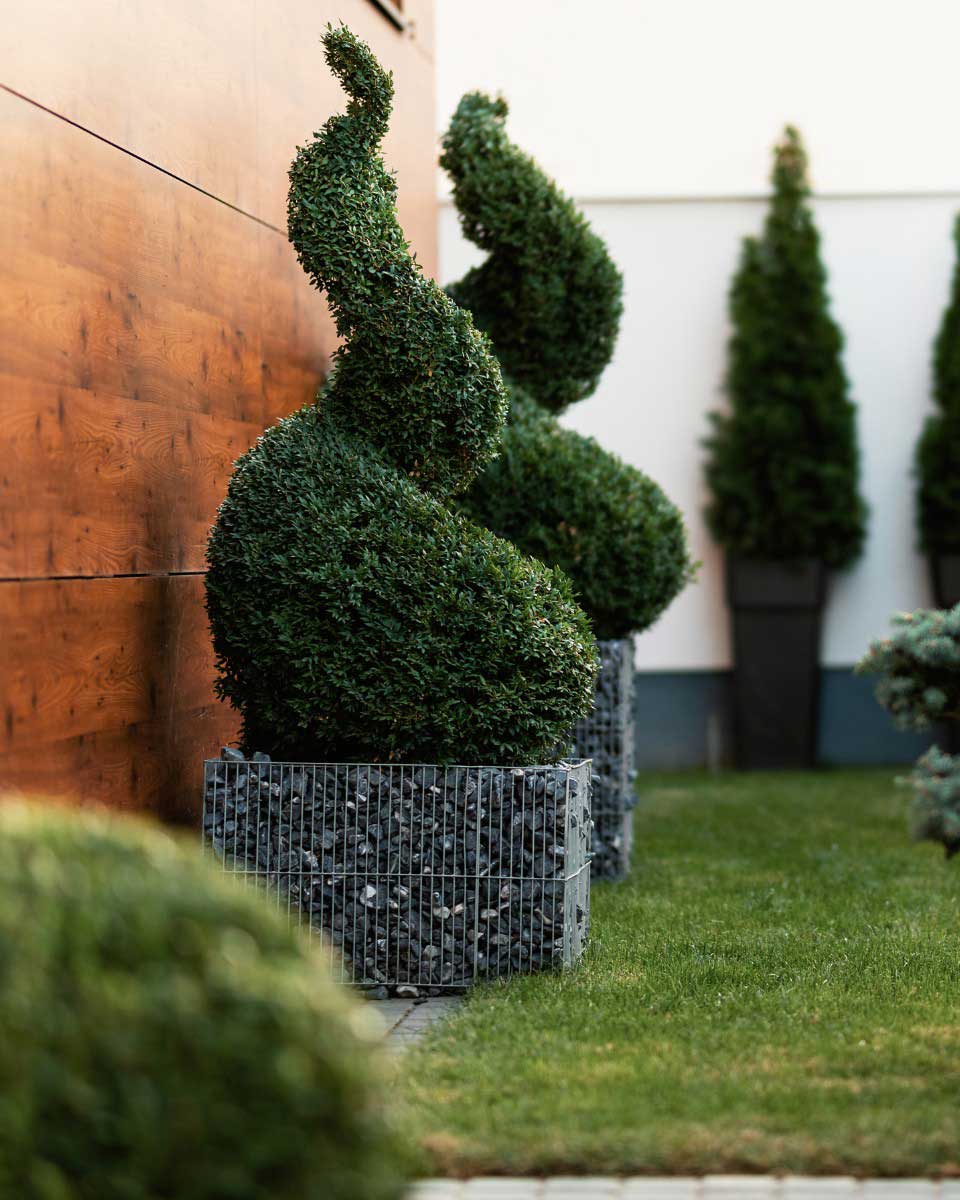 https://www.promessedefleurs.com/media/wysiwyg/Jardin-a-la-francaise-revisite-Topiaires.jpg