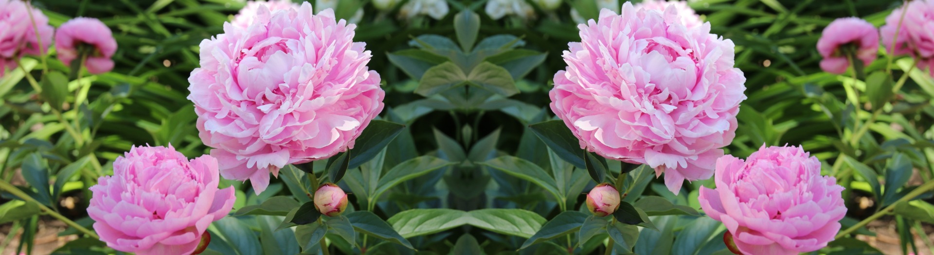 &lt;p&gt;Top 10&lt;/p&gt;