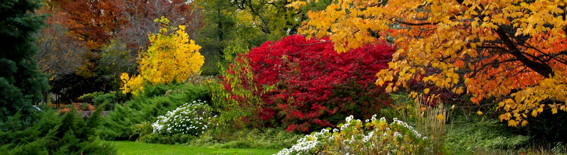 &lt;p&gt;Livraison Offerte&lt;/p&gt;