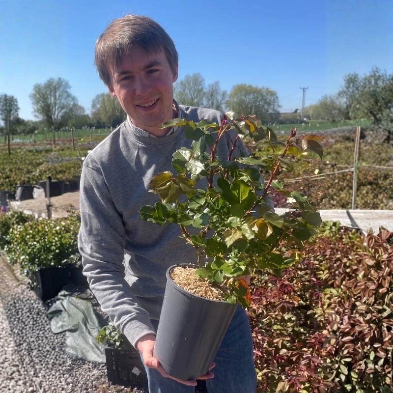 Que faire au jardin en mai ?