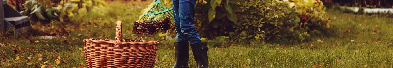 Que faire au jardin en novembre ? Que faire au jardin en novembre ?