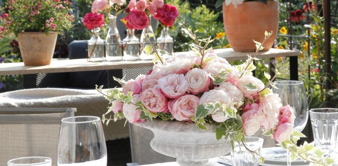 OFFRE ANNIVERSAIRE SUR TOUT LE SITE !