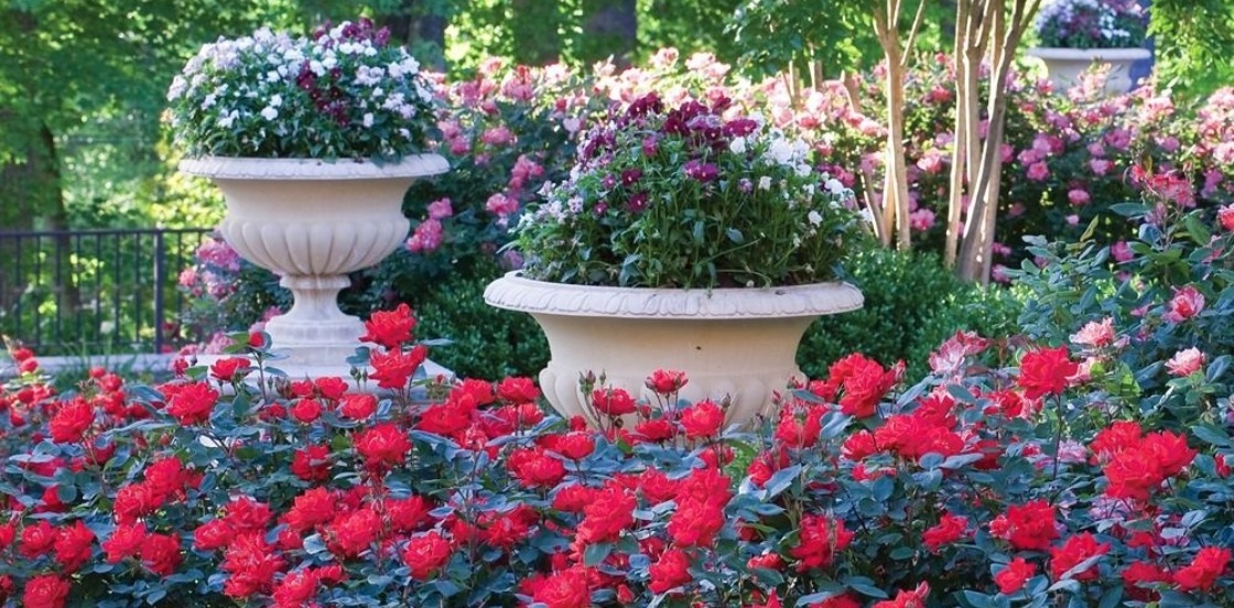 Les beaux jours arrivent...