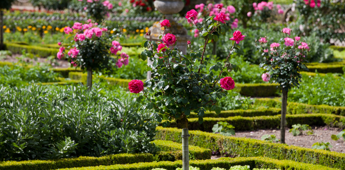 Le secret d&rsquo;un jardin &agrave; la fran&ccedil;aise moderne
