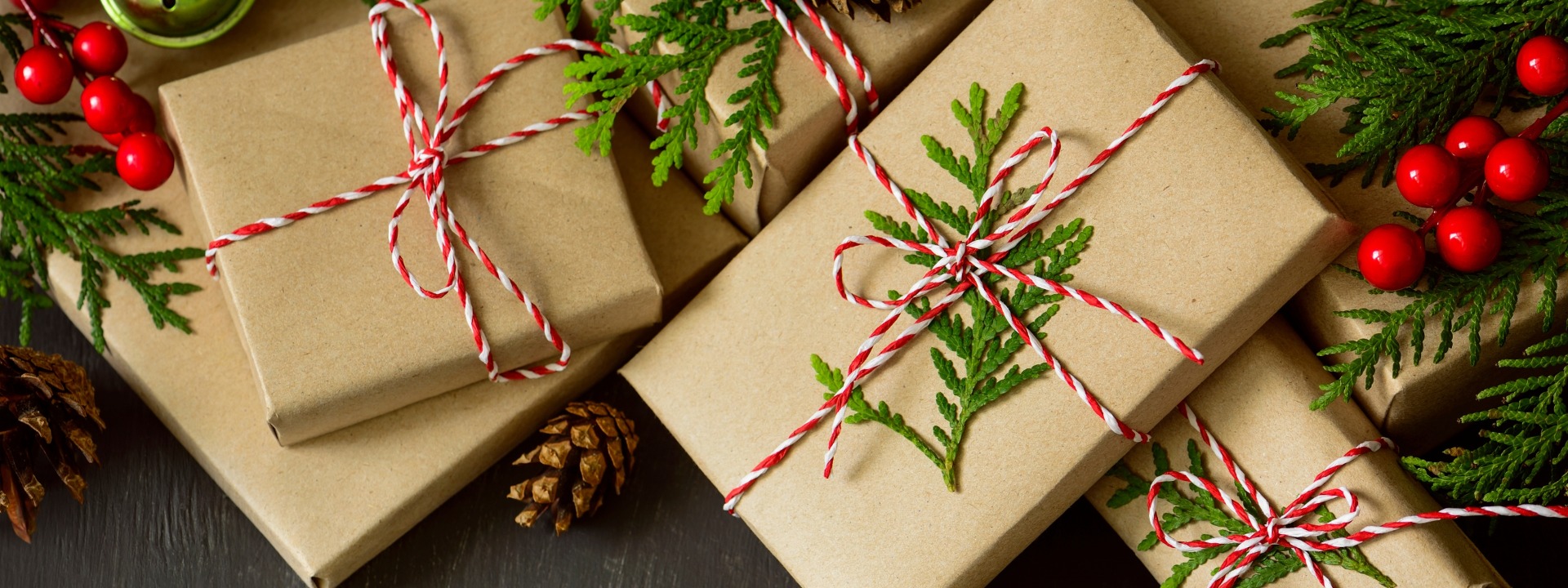 <i>C’est Noël</i> Au jardin !