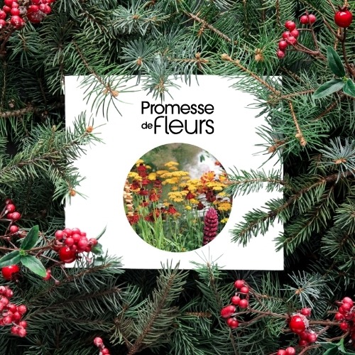 Carte Cadeau Promesse de Fleurs