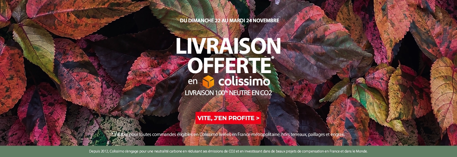 livraison offerte en colissimo jusqu'au 24 novembre