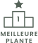 Cette plante a été élue 'Meilleure plante' par nos clients avec une note moyenne supérieure a 4.5/5 Valeur sûre